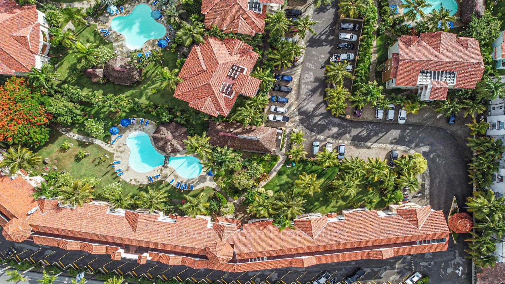 Ocean Dream Studios, Kiters Paradise!